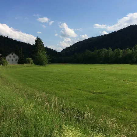 Apartamento Die Braumeisterlounge Im Sudschwarzwald St. Blasien