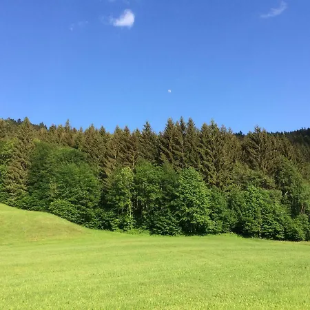 Die Braumeisterlounge Im Sudschwarzwald Apartamento St. Blasien